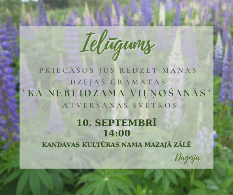 D.Gudriķes ceturtās dzejoļu grāmatas „Kā nebeidzama viļņošanās” atvēršanas svētki