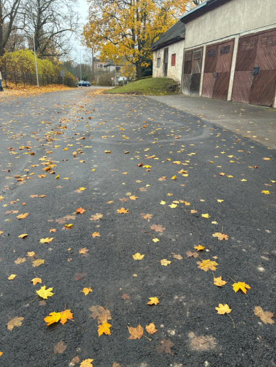 Stabu iela Engurē