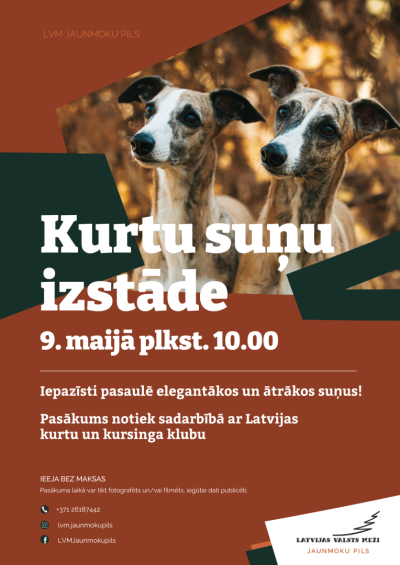 Pasākuma afiša