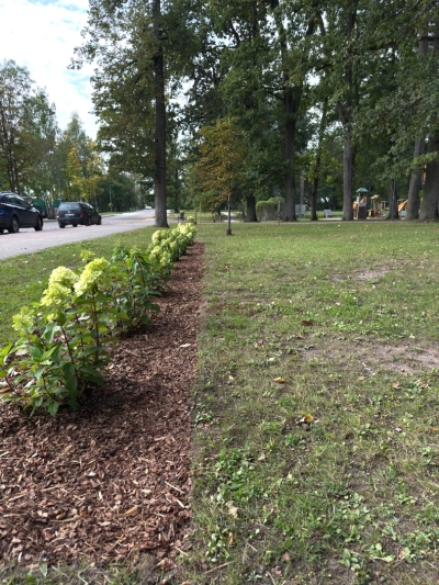Apstādījumi parkā