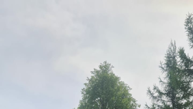 Attēls