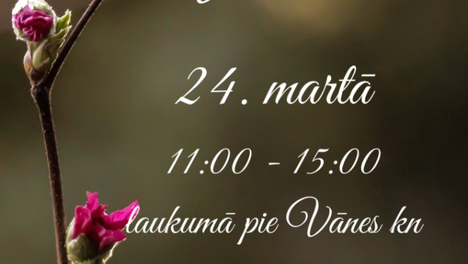 Ikmēneša tirdziņš Vānē