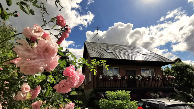 Privātmāja un rozes