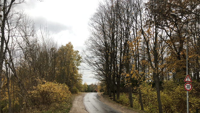 Pārbūve