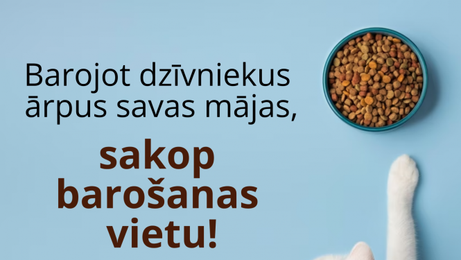 kaķi