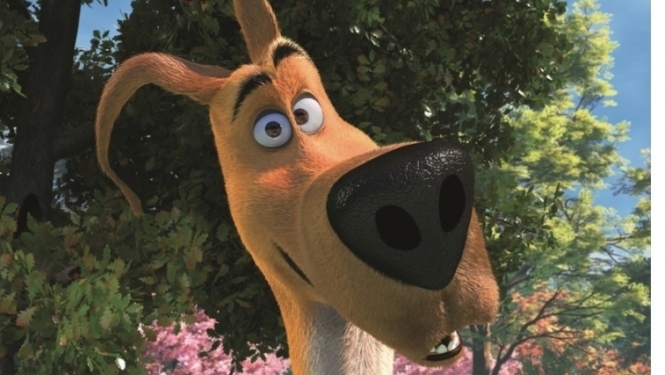 Pasākuma afiša