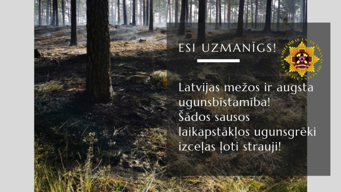 Uguns bīstamība mežā
