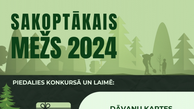 mezs-24
