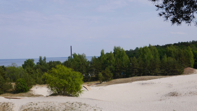 Plieņciema kāpa