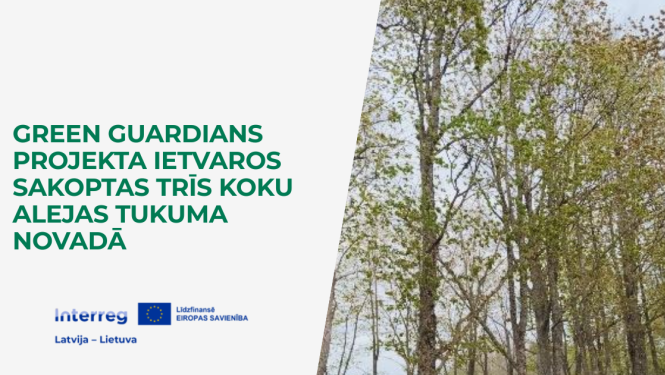 Green Guardians projekta ietvaros sakoptas trīs koku alejas Tukuma novadā