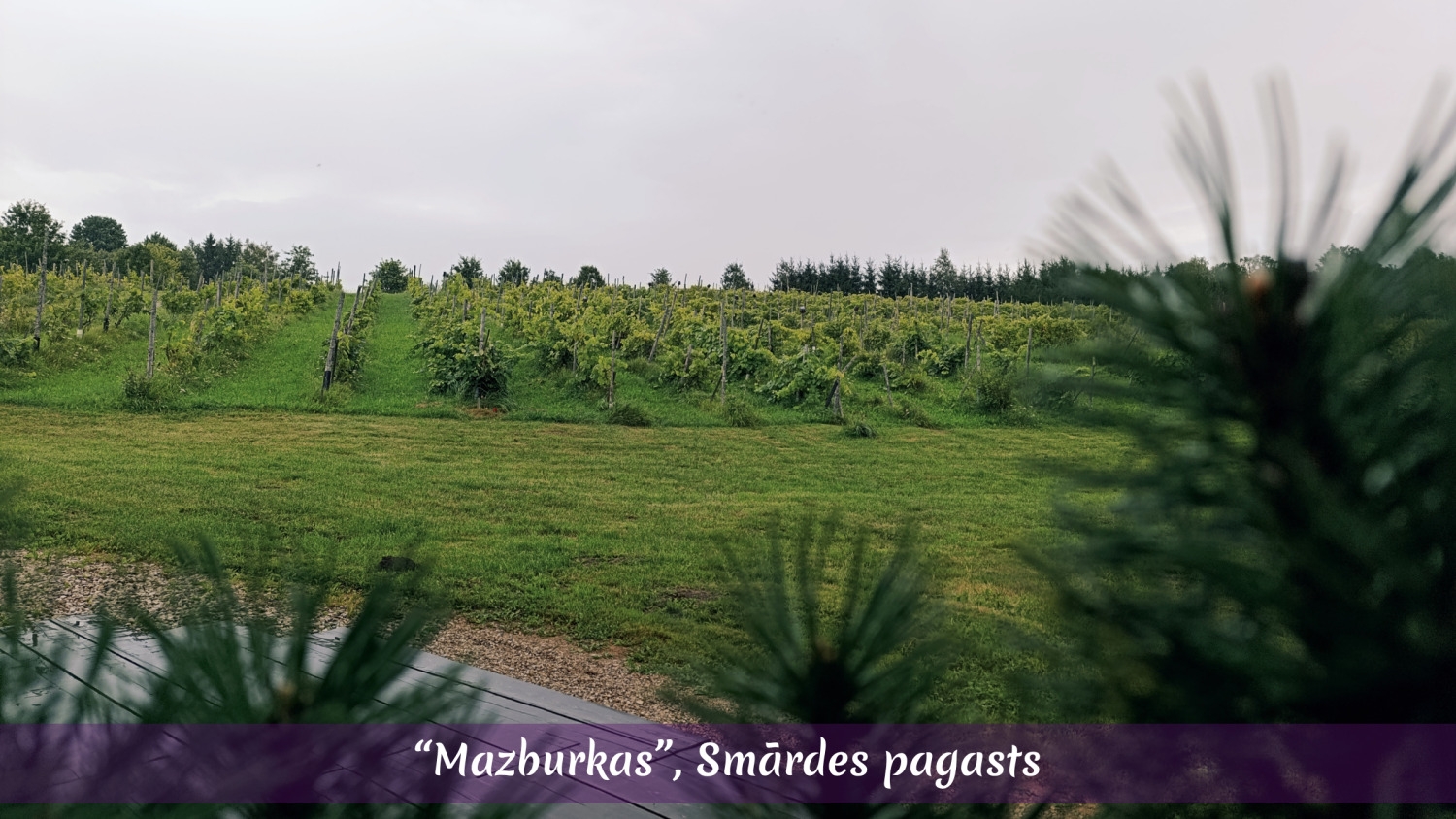 Sakoptākais īpašums Tukuma novadā 2026