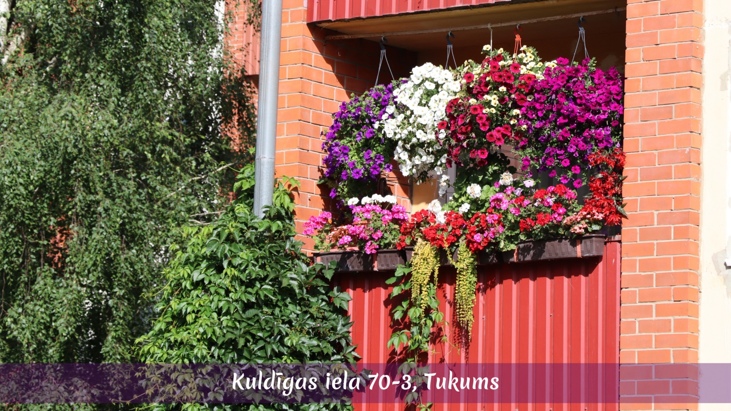 Sakoptākais īpašums Tukuma novadā 2026