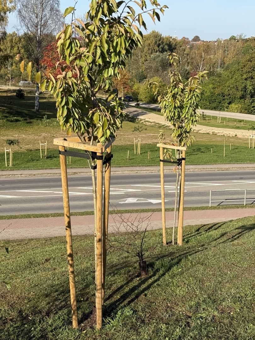 Meža dienas 2026 
