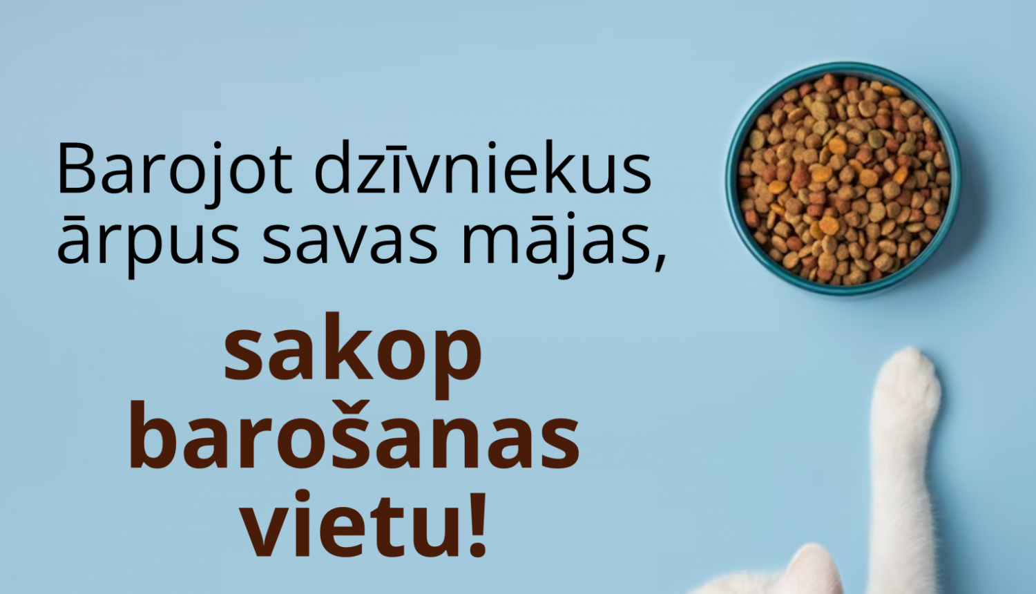 kaķi