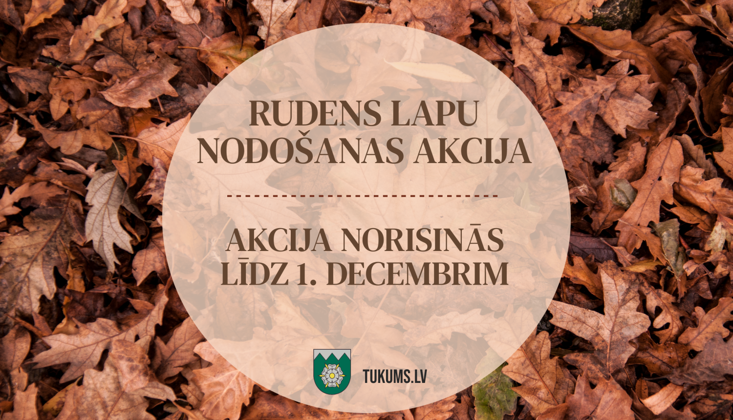 Akcija