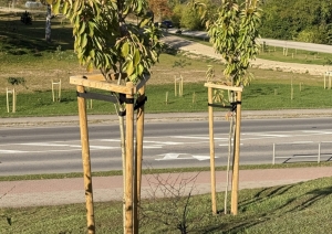 Meža dienas 2026 