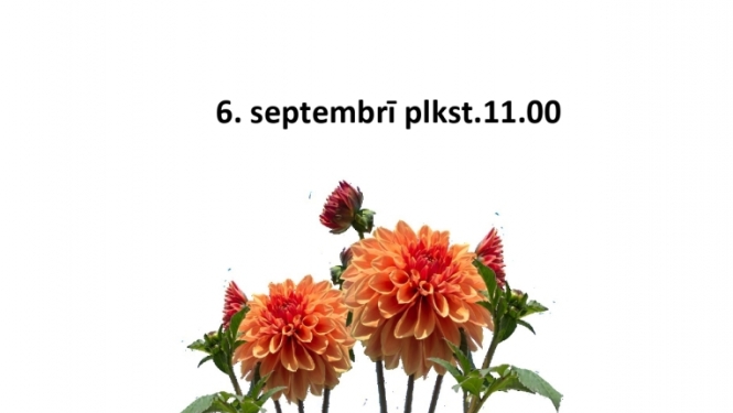Pasākuma afiša