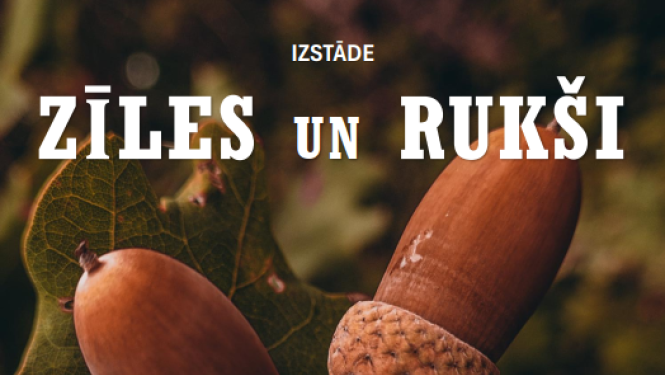 Izstāde “Zīles un rukši”