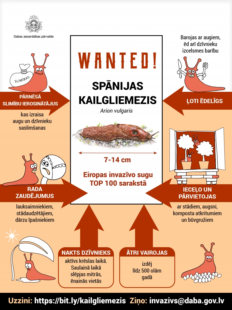 INFOGRAFIKA gliemezis 2020 3