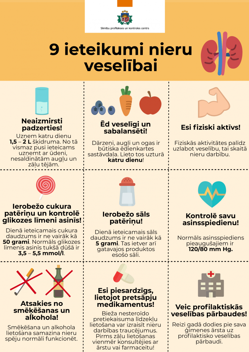 Pasaules nieru diena infografika