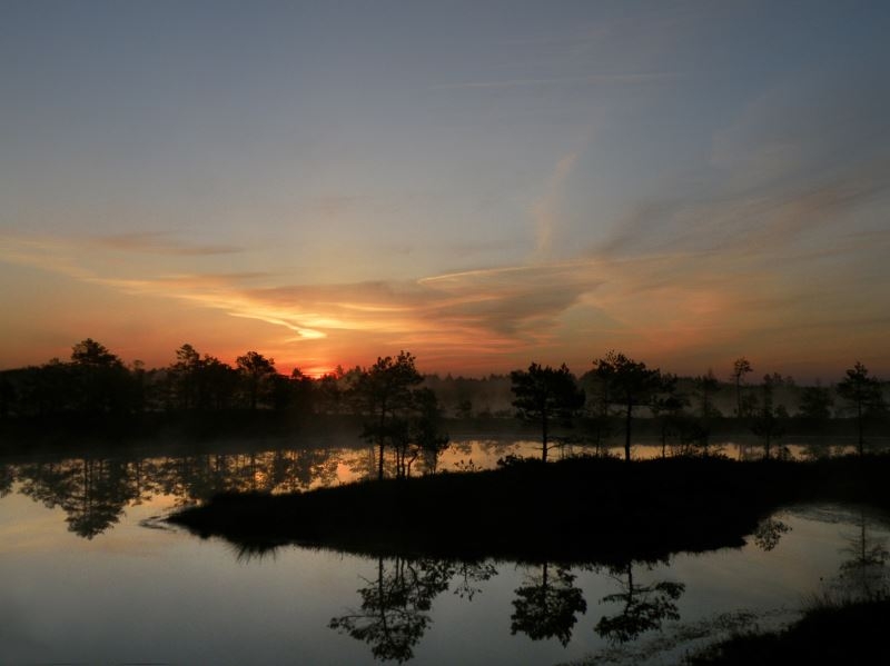 SarmC4ABteBalodeP5033990