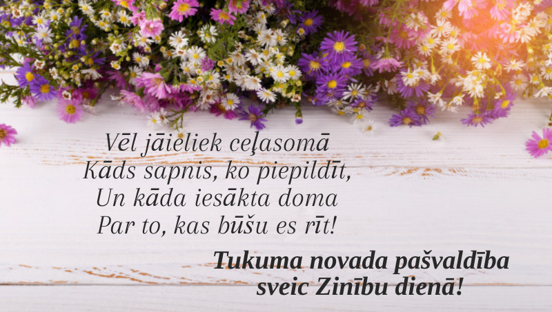 Zinibu diena 2019