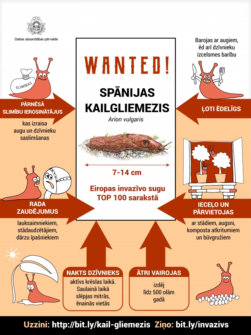 infografika gliemezis 2020 1