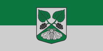 Cēres pagasta karogs - krāsains