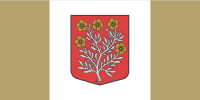 Kandavas pagasta karogs - krāsains