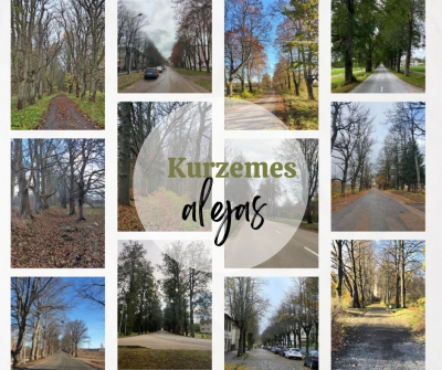 Kolāža ar daudzveidīgām Kurzemes koku alejām