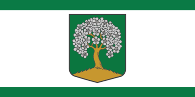 Degoles pagasta karogs - krāsains