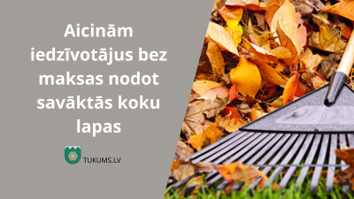 koku_lapas