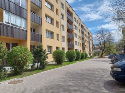 Meža 11