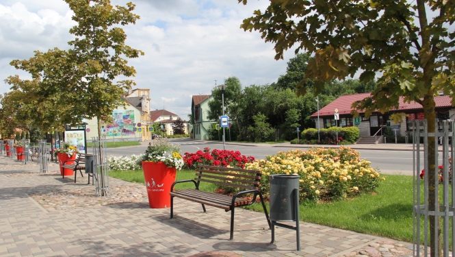 Tukumā krāšņi zied rozes