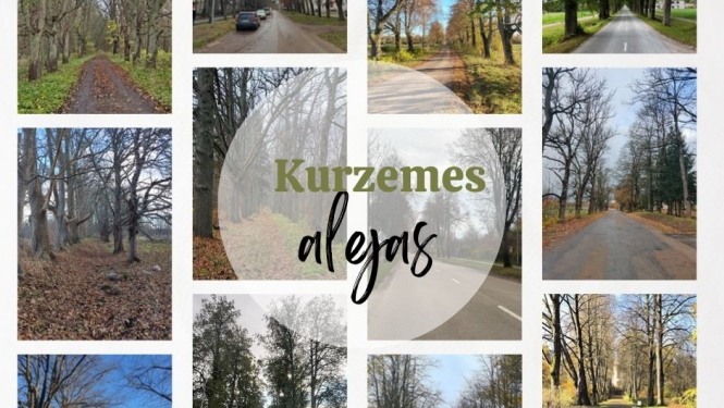 Kolāža ar daudzveidīgām Kurzemes koku alejām