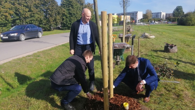 Tukumā, Pasaules talkas ietvaros, iestādīti jauni Laimes koki