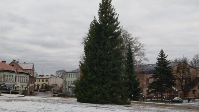 Noskatīta Brīvības laukuma svētku egle