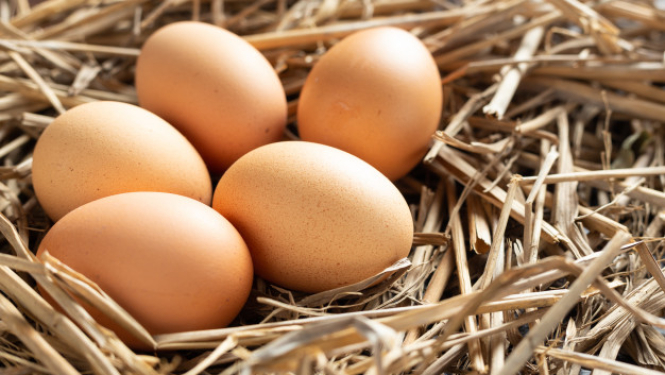 Par nodomu vienošanos ar SIA “Gallusman”