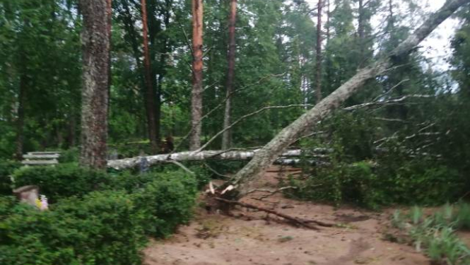 Tukuma un kaimiņu novados tiek apkopoti bojājumi pēc vētras