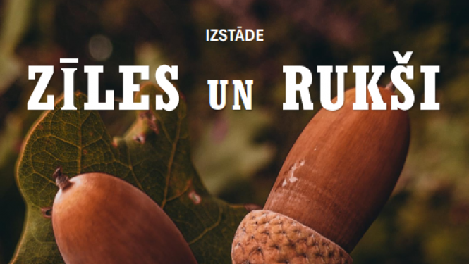 Izstāde “Zīles un rukši”