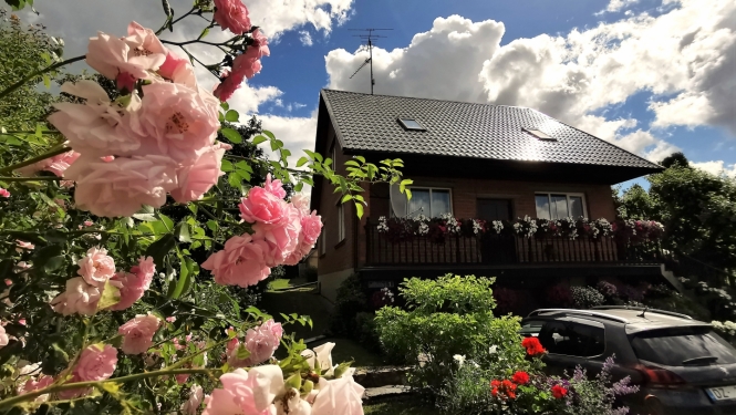 Privātmāja un rozes