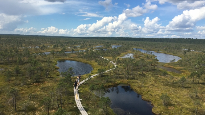 Foto