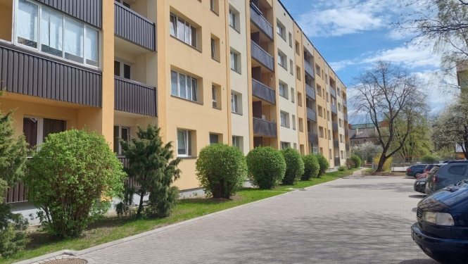Meža 11