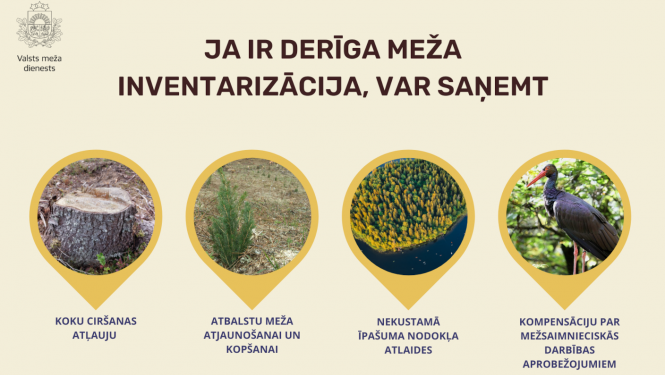Meža inventerizācija