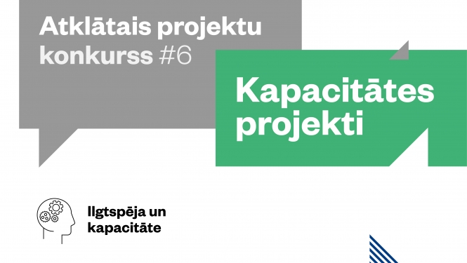 NVO kapacitates projekts