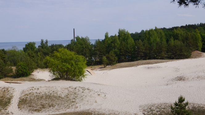 Plieņciema kāpa