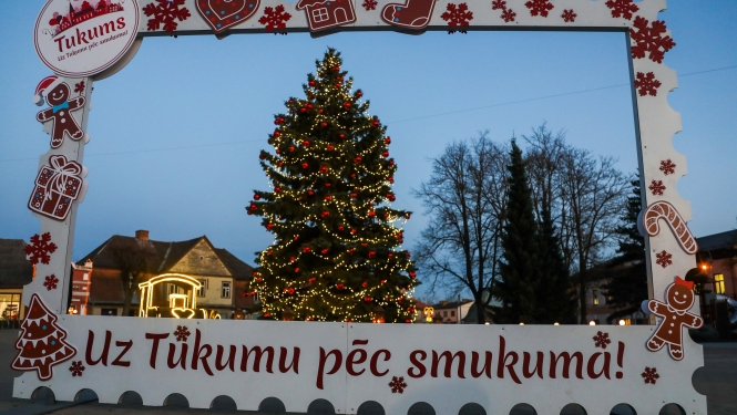 Meklējam Ziemassvētku egles!