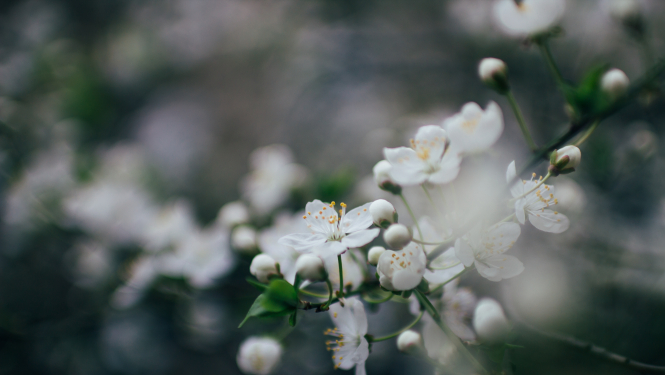 Komunistiskā genocīda upuru ATCERES BRĪDIS 14.06.2020.