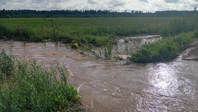 Ilustratīvs attēls