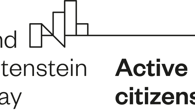 Rīgas un Pierīgas reģiona organizācijas aicina iesniegt projektus kapacitātes stiprināšanai